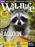 BBC Wildlife Magazine  Jul  2011