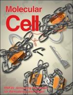 Molecular Cell   Mar  2011