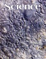 Science #1 Jul  2011