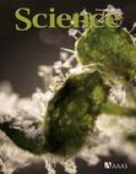 Science 10 Dec  2010