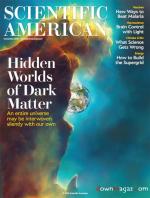 Scientific American   Nov  2010